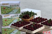 梦见人血高速赋能产业升级：一条“杨梅路”的致富密码